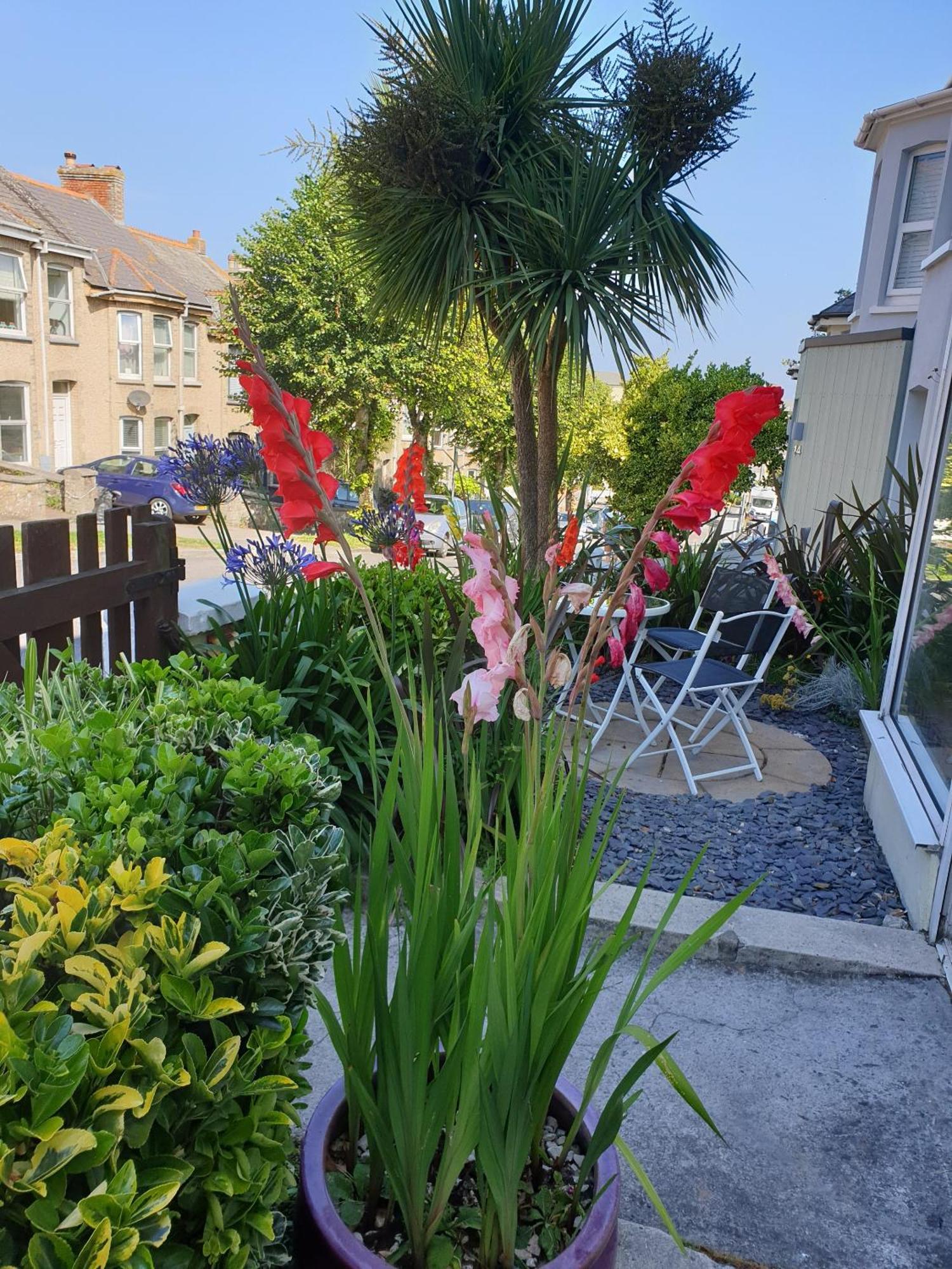 Fairways Guest House New Quay Eksteriør billede